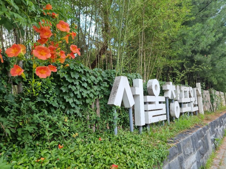 [서울둘레길 1코스] 수락산코스 여행 추천 - 메고지고