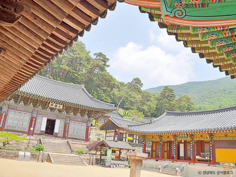 김룡사(문경) 여행 추천 - 메고지고 김룡사(문경) 여행 추천 - 메고지고