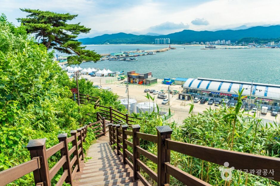거진등대해맞이공원 여행 추천 - 메고지고 거진등대해맞이공원 여행 추천 - 메고지고