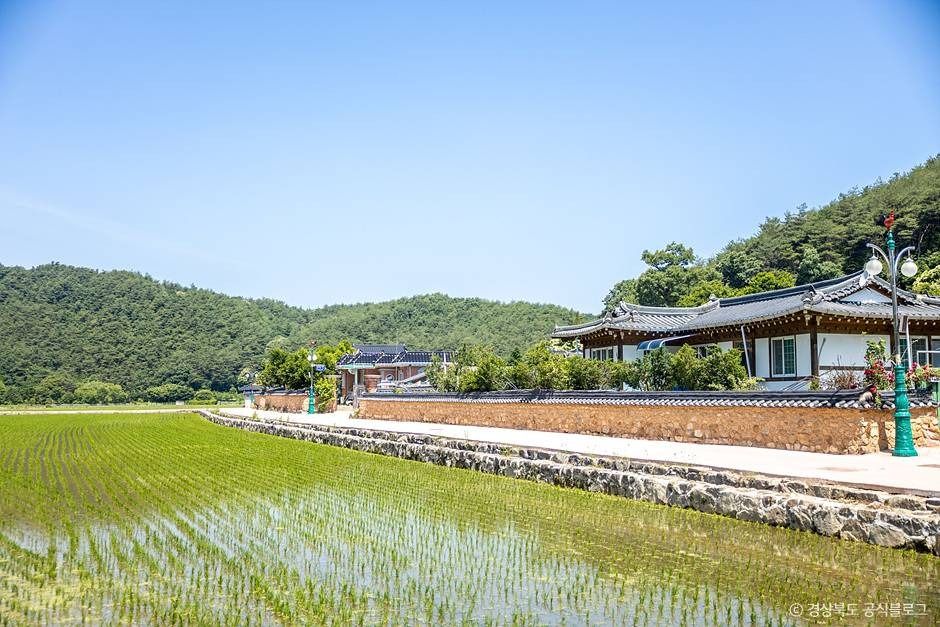 봉화닭실마을 여행 추천 - 메고지고 봉화닭실마을 여행 추천 - 메고지고