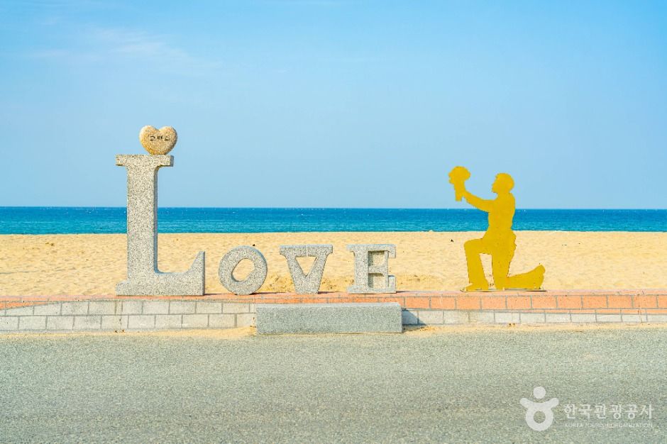 고래불해수욕장 여행 추천 - 메고지고 고래불해수욕장 여행 추천 - 메고지고