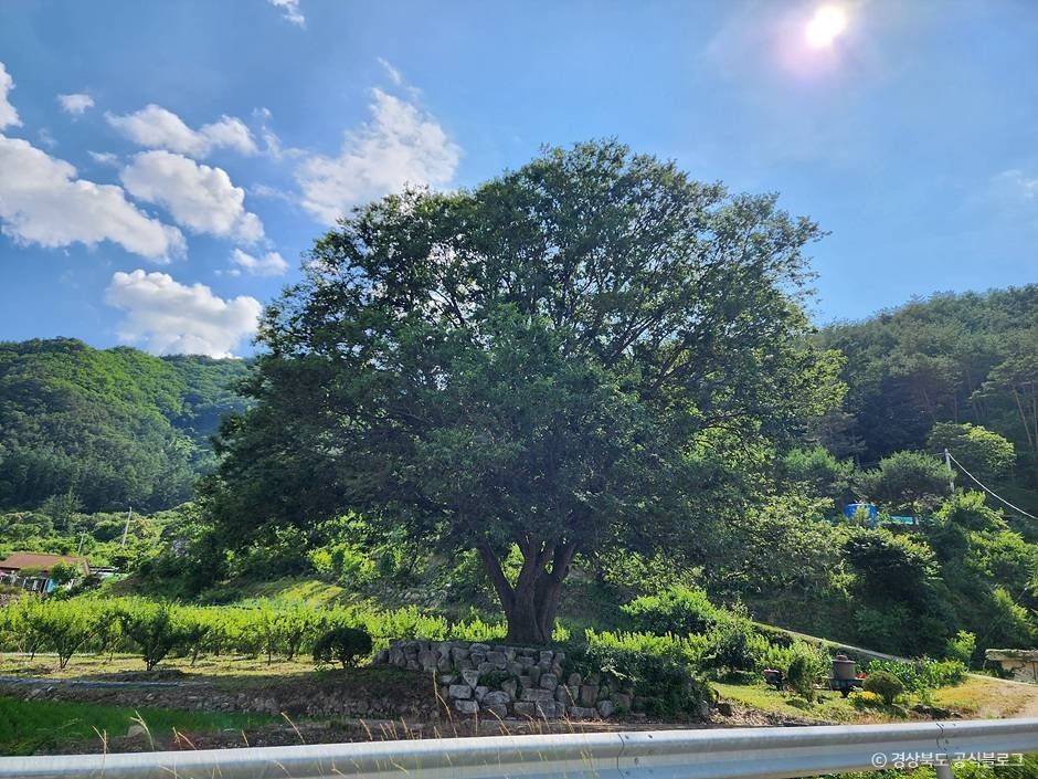 청량산비나리마을 여행 추천 - 메고지고 청량산비나리마을 여행 추천 - 메고지고