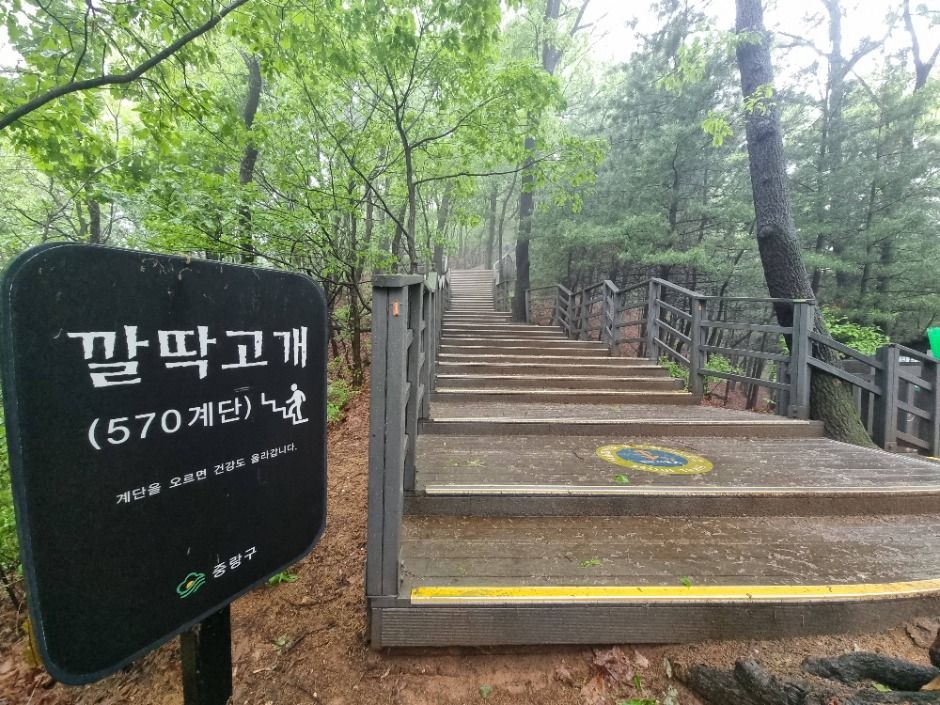 [서울둘레길 5코스] 아차산코스 여행 추천 - 메고지고