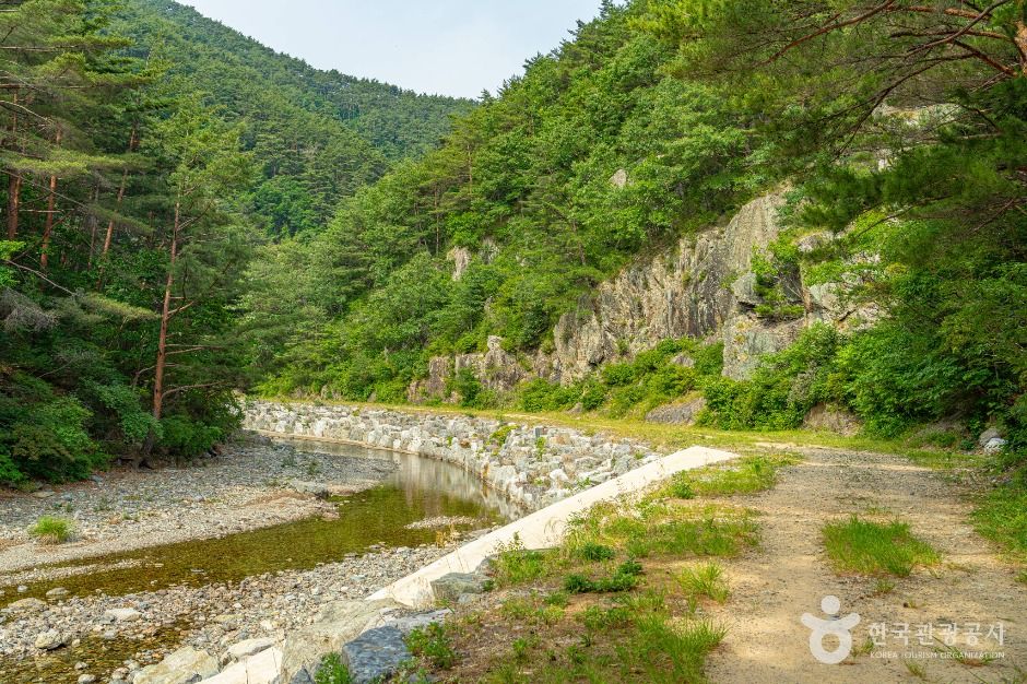 신선계곡 여행 추천 - 메고지고 신선계곡 여행 추천 - 메고지고