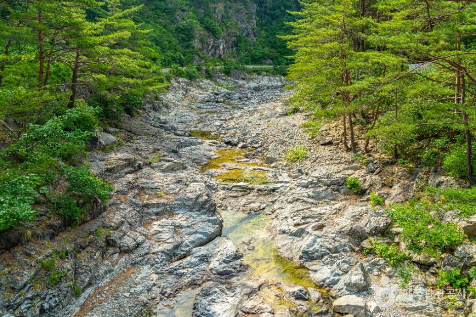 신선계곡 여행 추천 - 메고지고 신선계곡 여행 추천 - 메고지고