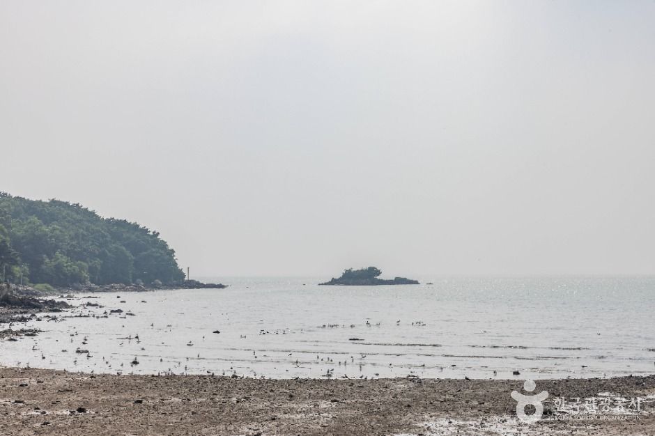장화리일몰조망지 여행 추천 - 메고지고 장화리일몰조망지 여행 추천 - 메고지고