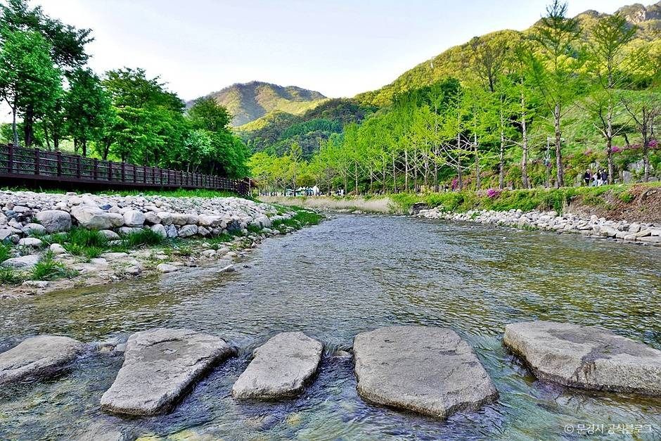 문경생태미로공원 여행 추천 - 메고지고 문경생태미로공원 여행 추천 - 메고지고