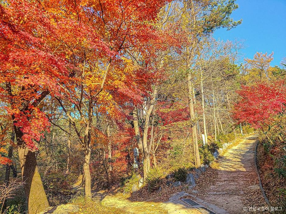 비봉산(안성) 여행 추천 - 메고지고 비봉산(안성) 여행 추천 - 메고지고