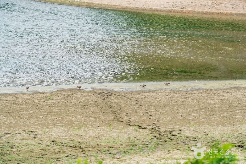 경포저수지 여행 추천 - 메고지고 경포저수지 여행 추천 - 메고지고