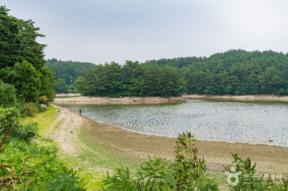 경포저수지 여행 추천 - 메고지고 경포저수지 여행 추천 - 메고지고