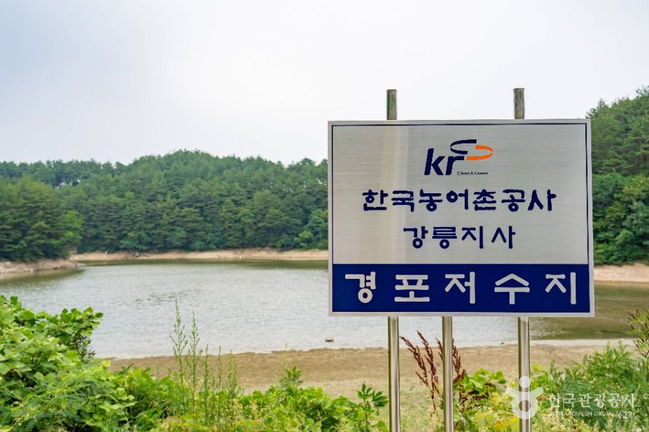 경포저수지 여행 추천 - 메고지고 경포저수지 여행 추천 - 메고지고
