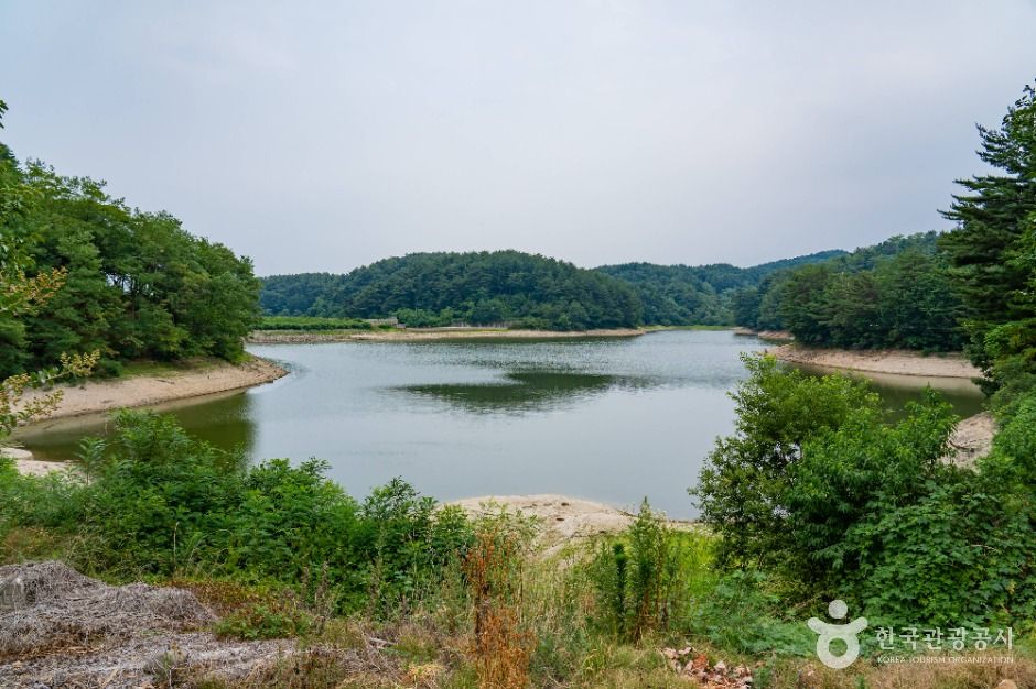 경포저수지 여행 추천 - 메고지고 경포저수지 여행 추천 - 메고지고