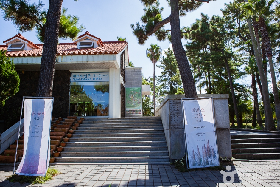 협재동굴 여행 추천 - 메고지고 협재동굴 여행 추천 - 메고지고