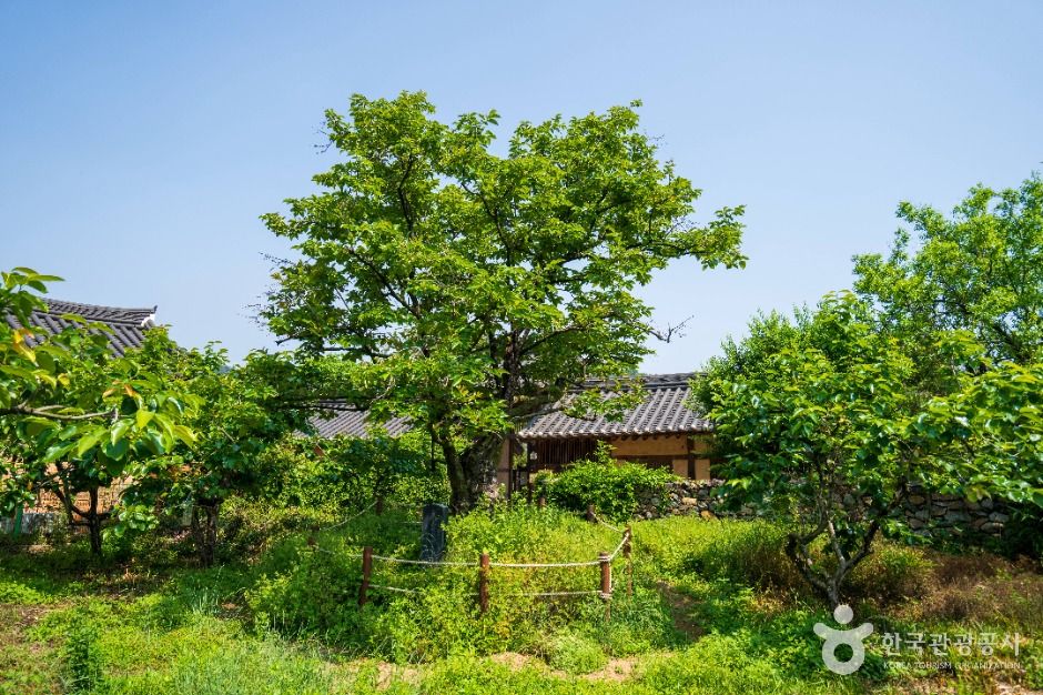 남사예담촌 여행 추천 - 메고지고 남사예담촌 여행 추천 - 메고지고