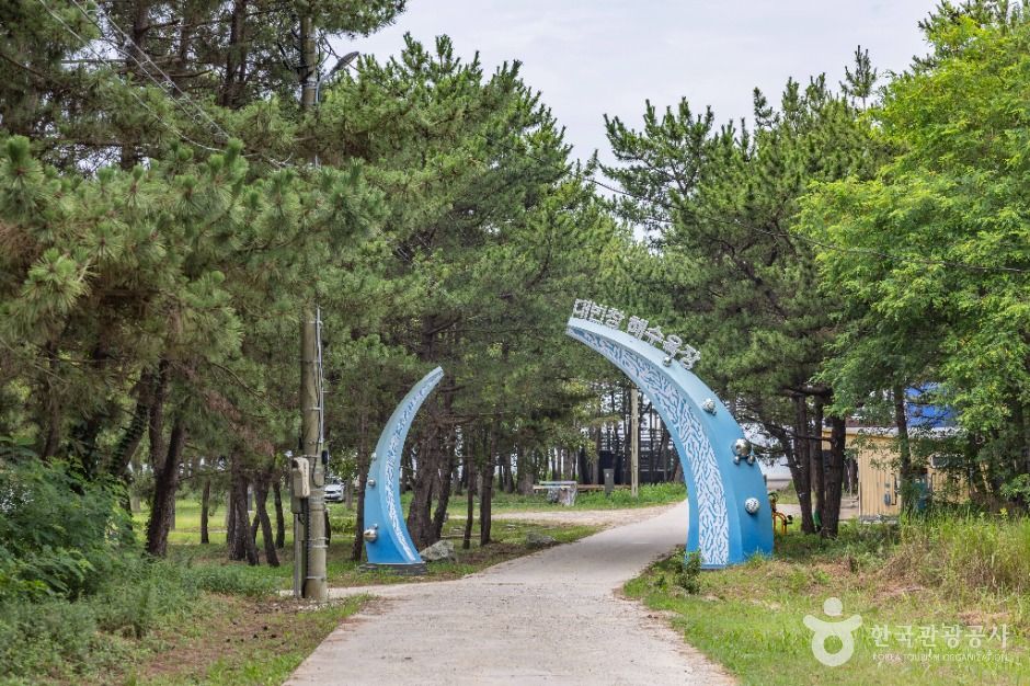주문도 여행 추천 - 메고지고 주문도 여행 추천 - 메고지고