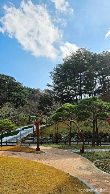 봉화목재문화체험장 여행 추천 - 메고지고 봉화목재문화체험장 여행 추천 - 메고지고
