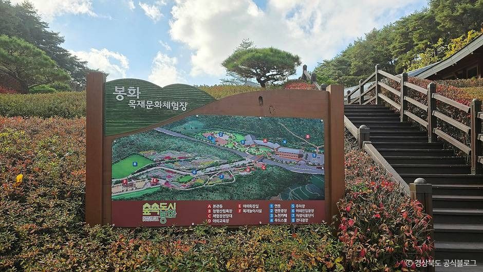 봉화목재문화체험장 여행 추천 - 메고지고 봉화목재문화체험장 여행 추천 - 메고지고