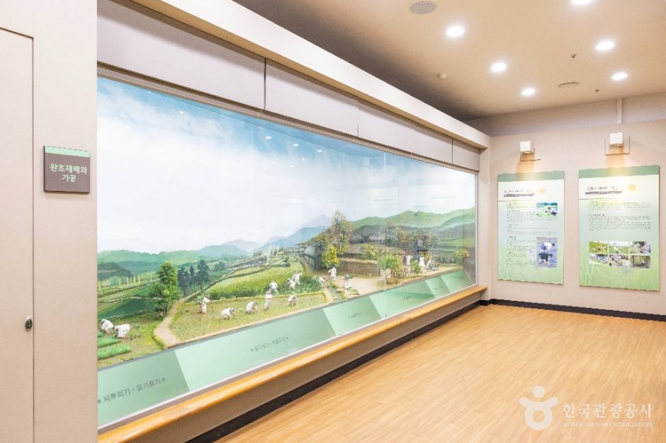 화문석문화관 여행 추천 - 메고지고 화문석문화관 여행 추천 - 메고지고