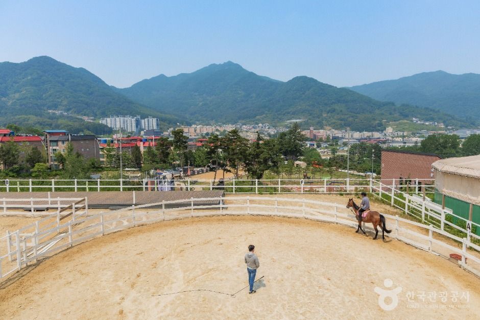비스타밸리 여행 추천 - 메고지고 비스타밸리 여행 추천 - 메고지고