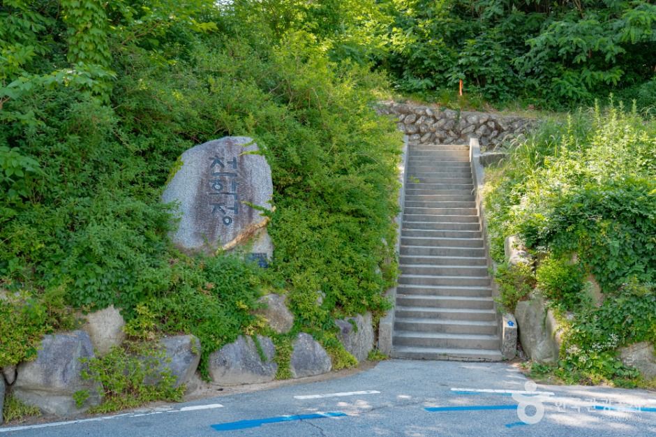 천학정 여행 추천 - 메고지고