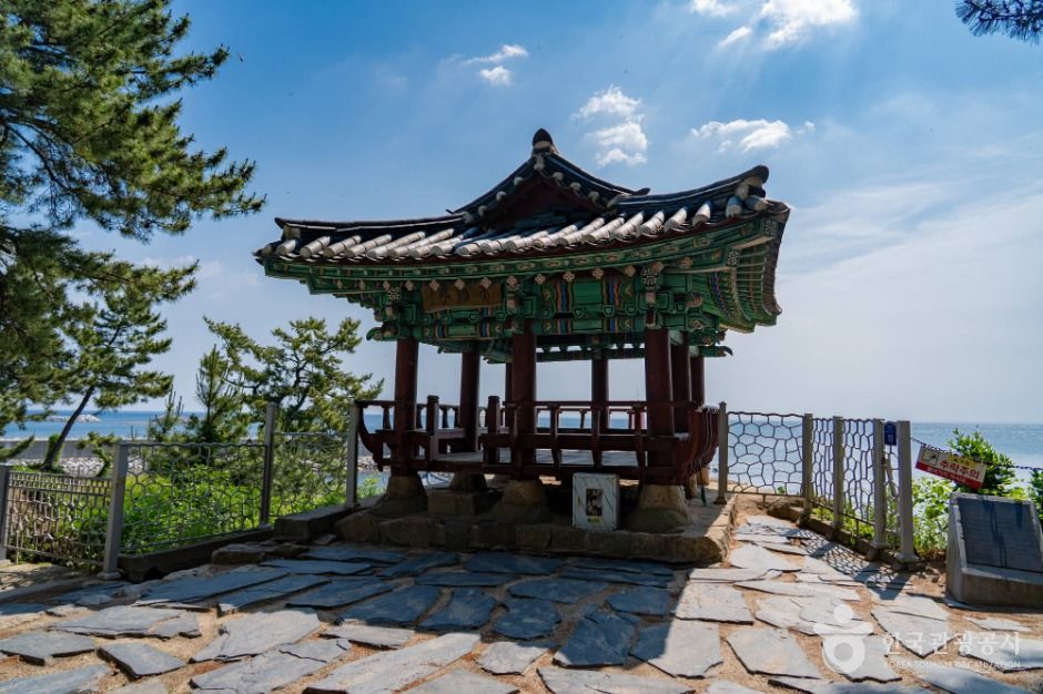 천학정 여행 추천 - 메고지고