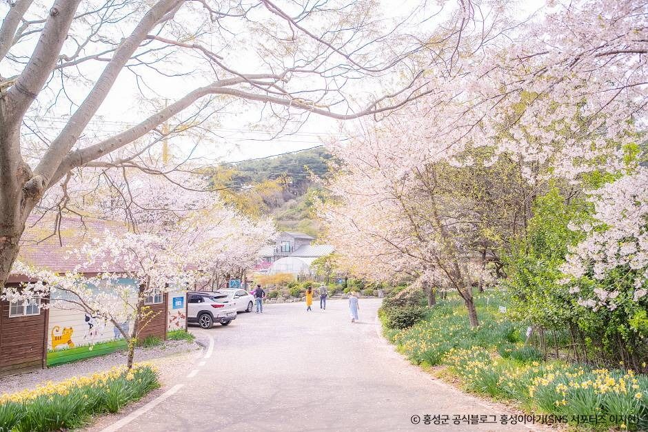 거북이마을 여행 추천 - 메고지고 거북이마을 여행 추천 - 메고지고