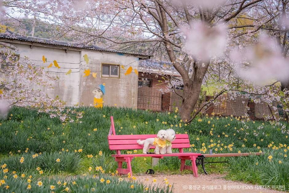 거북이마을 여행 추천 - 메고지고 거북이마을 여행 추천 - 메고지고