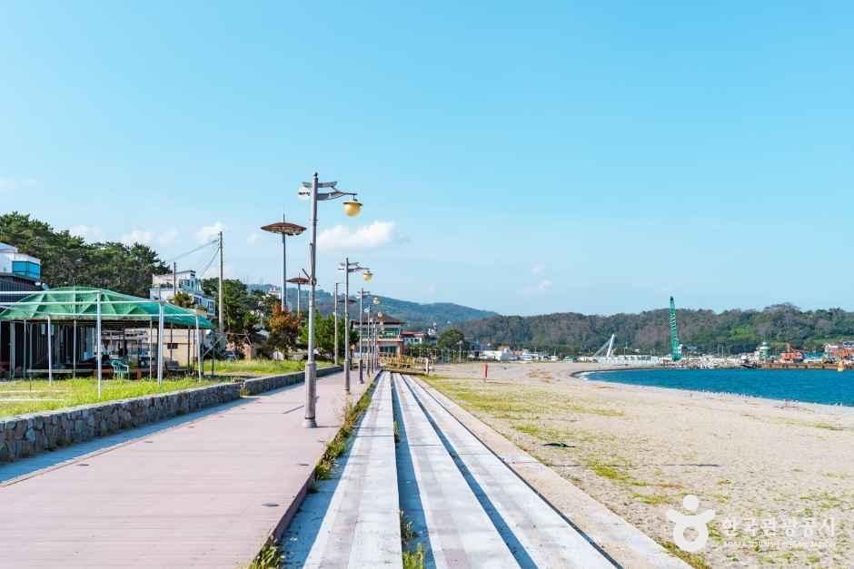전촌솔밭해변 여행 추천 - 메고지고 전촌솔밭해변 여행 추천 - 메고지고