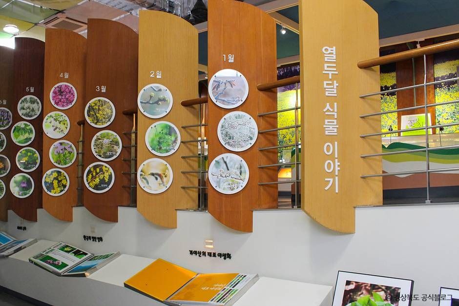 가야산 야생화식물원 여행 추천 - 메고지고 가야산 야생화식물원 여행 추천 - 메고지고
