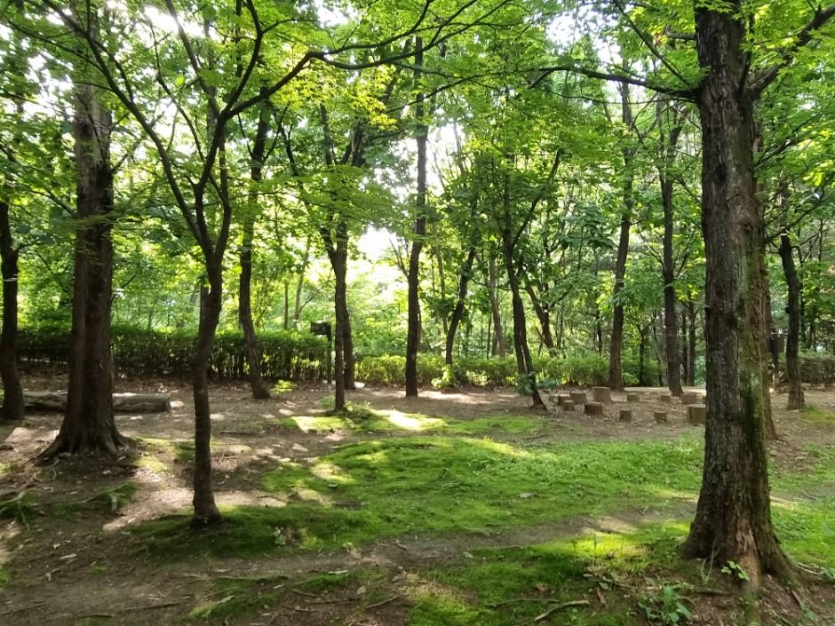 [서울둘레길 8코스] 장지·탄천코스 여행 추천 - 메고지고