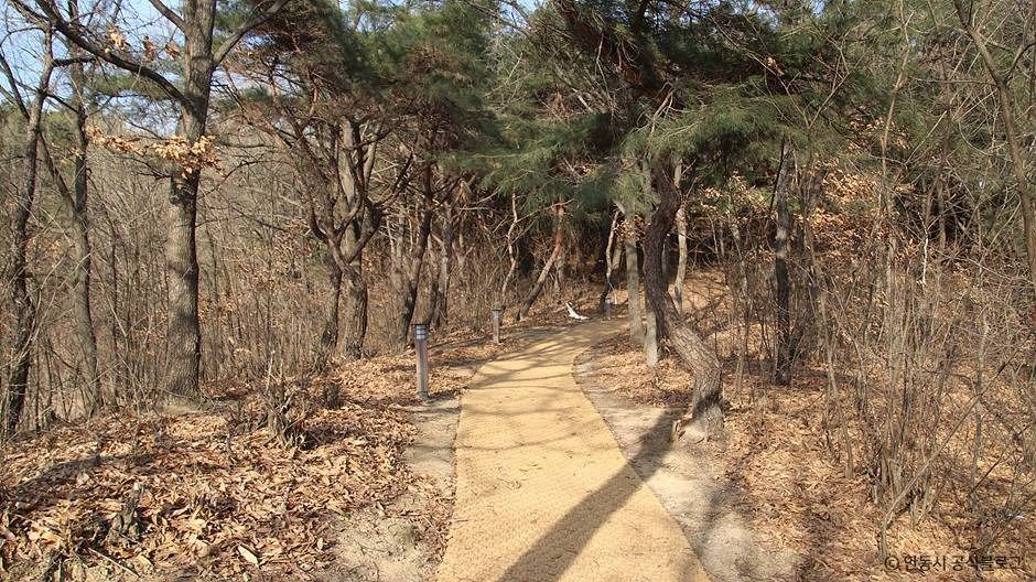 검무산 여행 추천 - 메고지고 검무산 여행 추천 - 메고지고