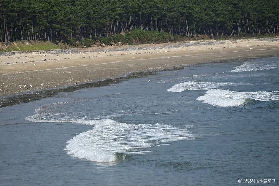 원산도해수욕장 여행 추천 - 메고지고 원산도해수욕장 여행 추천 - 메고지고
