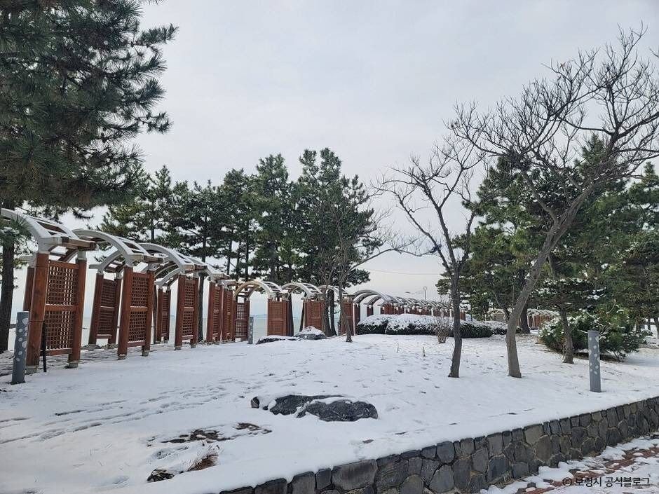 머드광장 여행 추천 - 메고지고 머드광장 여행 추천 - 메고지고