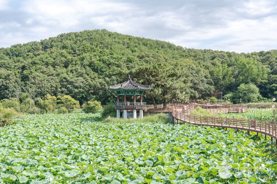 들성생태공원 여행 추천 - 메고지고