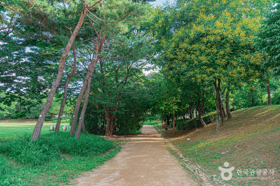 평화잔디광장 여행 추천 - 메고지고