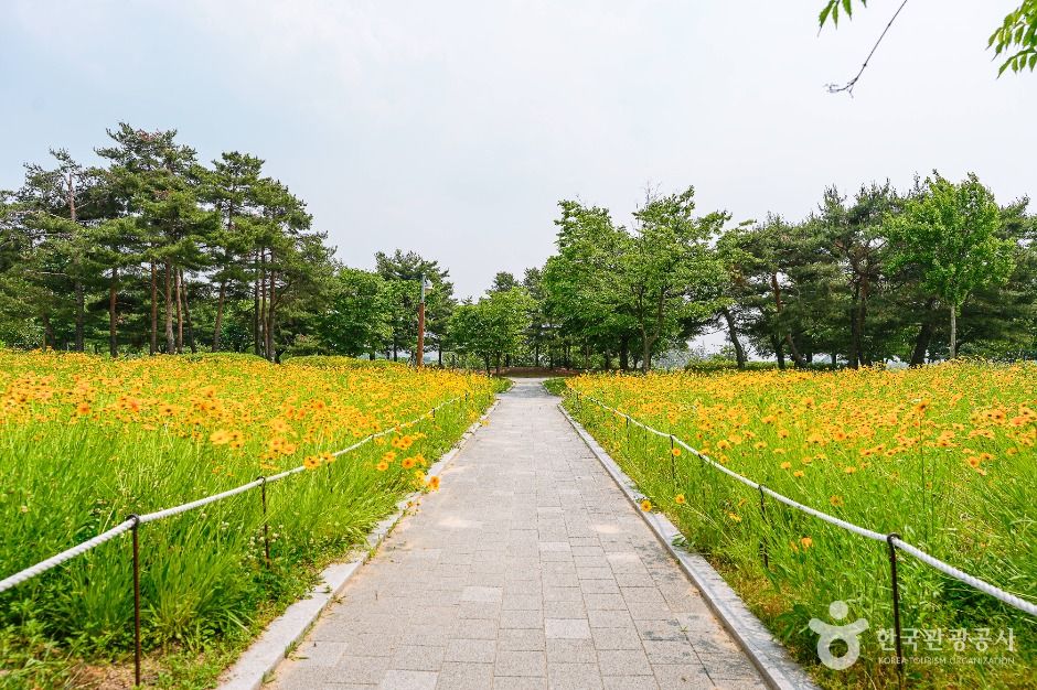 서호공원 여행 추천 - 메고지고