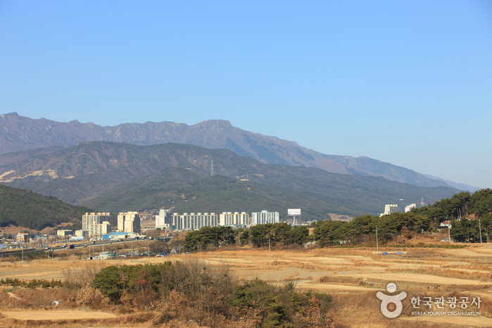 영축산 여행 추천 - 메고지고