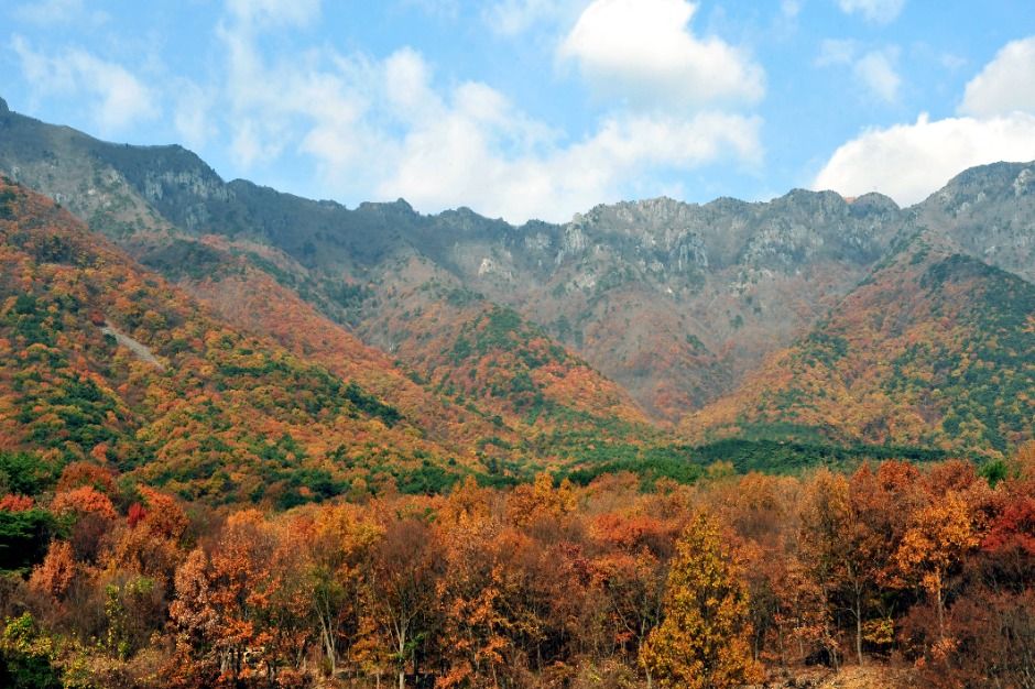 영축산 여행 추천 - 메고지고