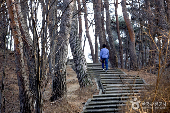 하조대 둘레길 여행 추천 - 메고지고 하조대 둘레길 여행 추천 - 메고지고