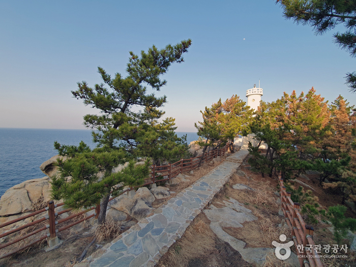 하조대 둘레길 여행 추천 - 메고지고 하조대 둘레길 여행 추천 - 메고지고