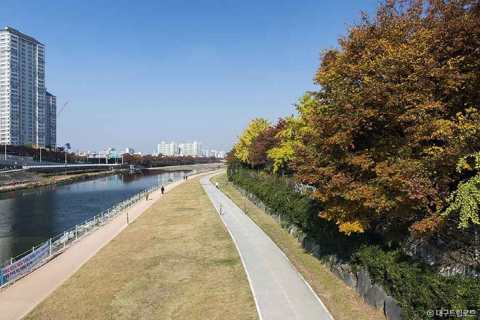 신천 여행 추천 - 메고지고