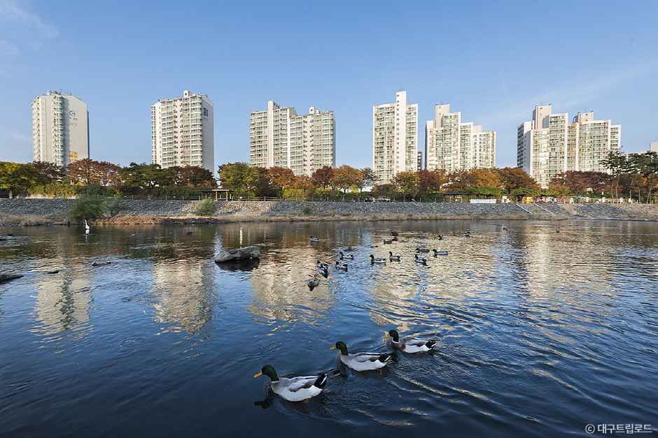 신천 여행 추천 - 메고지고