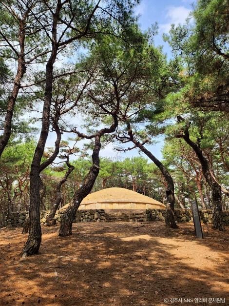 경주 진덕여왕릉 여행 추천 - 메고지고