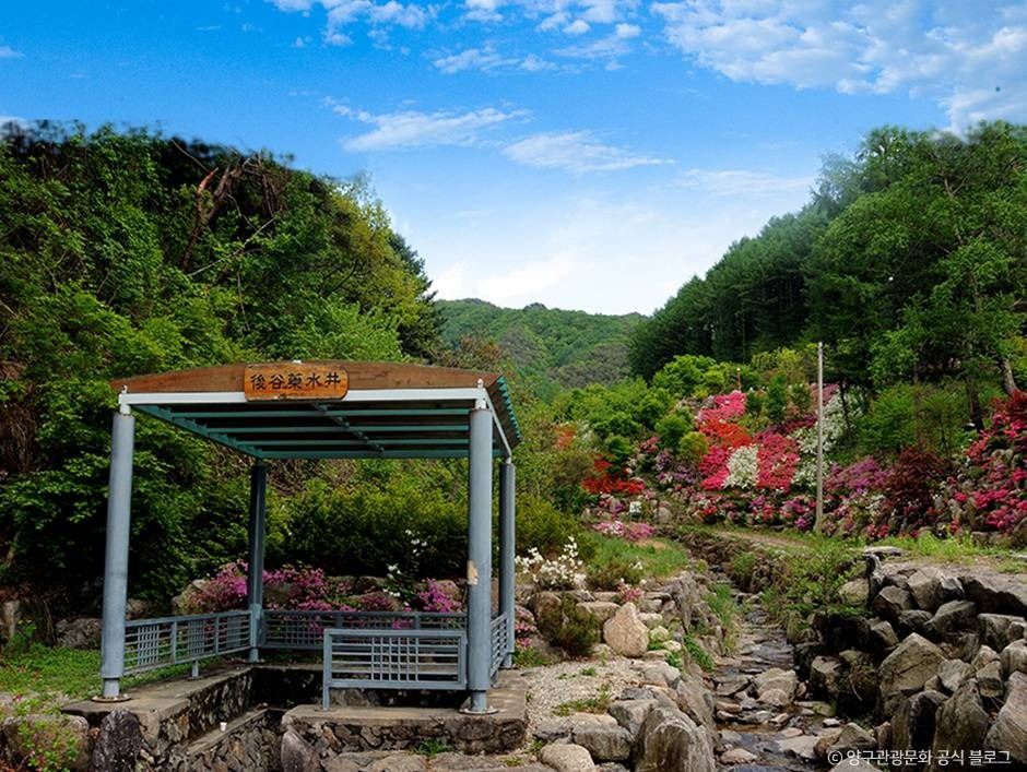 후곡약수터 여행 추천 - 메고지고 후곡약수터 여행 추천 - 메고지고