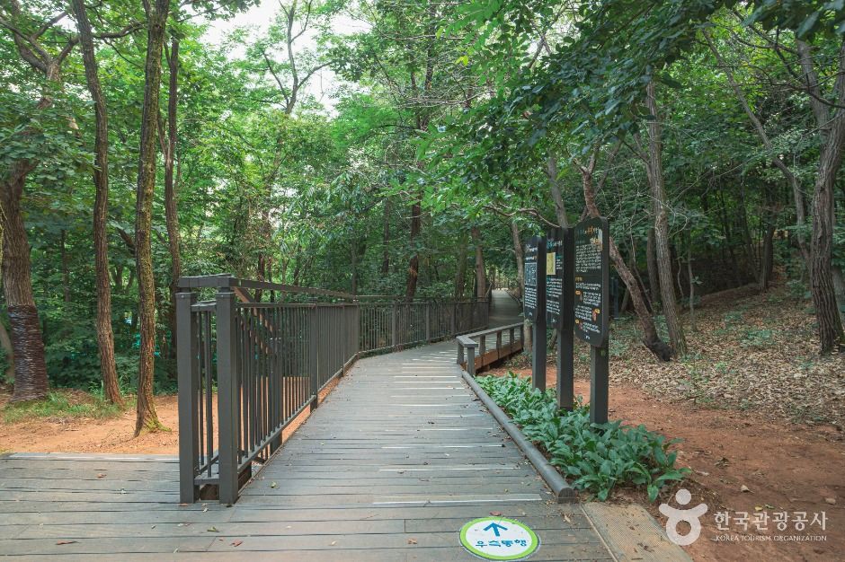 우장산공원 여행 추천 - 메고지고 우장산공원 여행 추천 - 메고지고