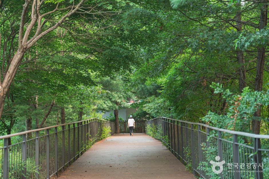 우장산공원 여행 추천 - 메고지고 우장산공원 여행 추천 - 메고지고