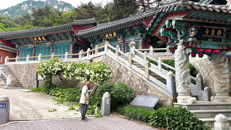 무량사(고양) 여행 추천 - 메고지고 무량사(고양) 여행 추천 - 메고지고