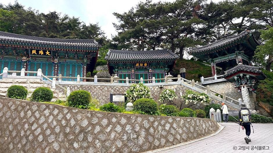 무량사(고양) 여행 추천 - 메고지고 무량사(고양) 여행 추천 - 메고지고