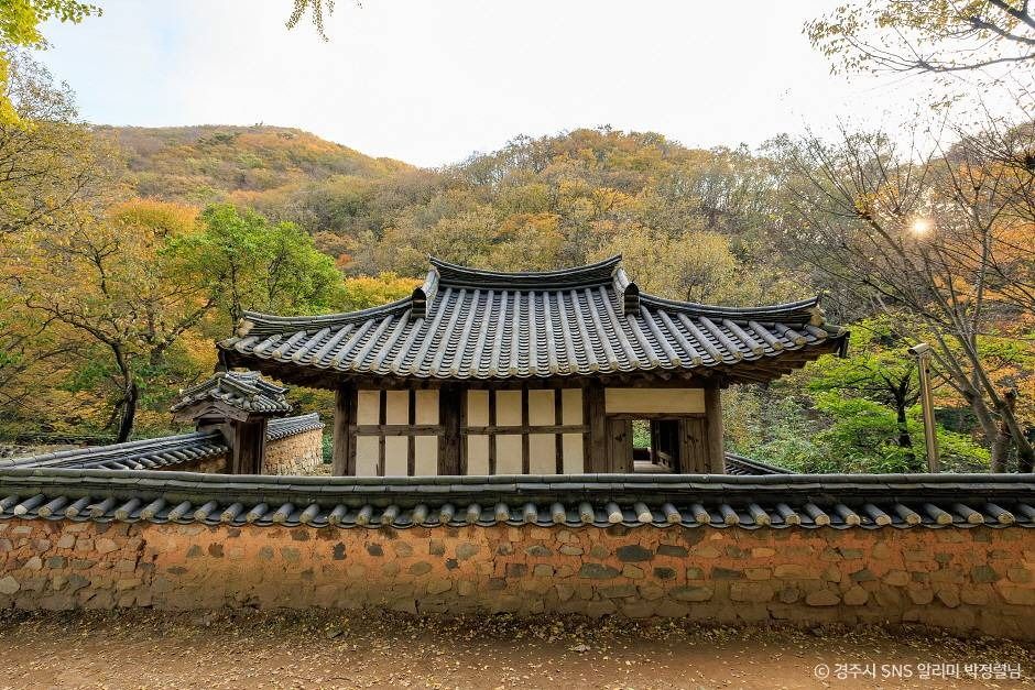 경주유연정 여행 추천 - 메고지고 경주유연정 여행 추천 - 메고지고