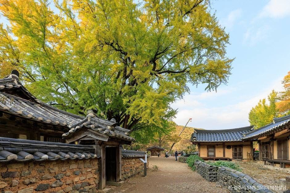 경주유연정 여행 추천 - 메고지고 경주유연정 여행 추천 - 메고지고